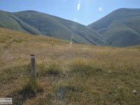 2019-07-06 P. Borghese e Porche 125